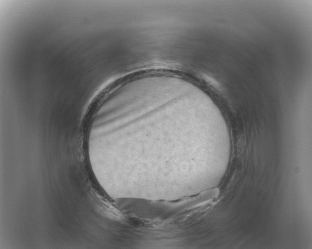 X0000066961310200604142105