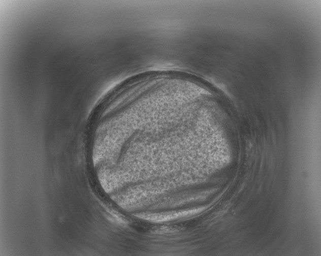 X0000066961311200604142105