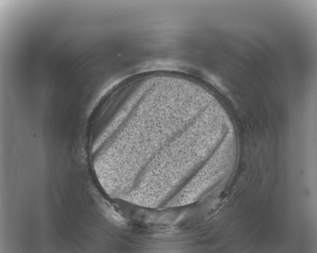 X0000066961312200604142105