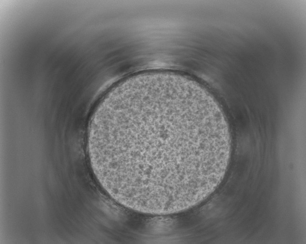 X0000066961314200604142105