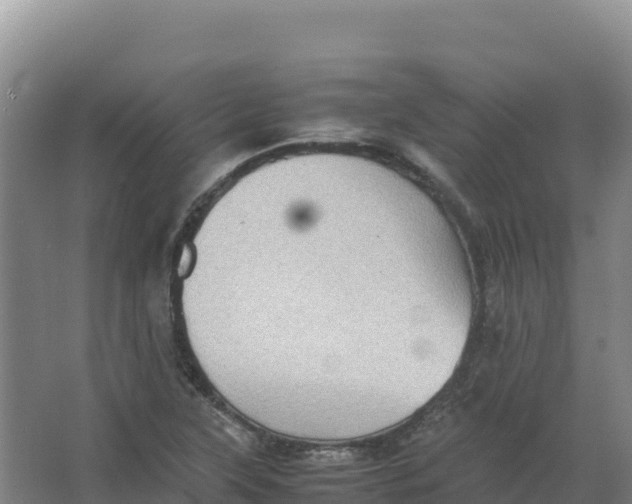 X0000066961315200604142105