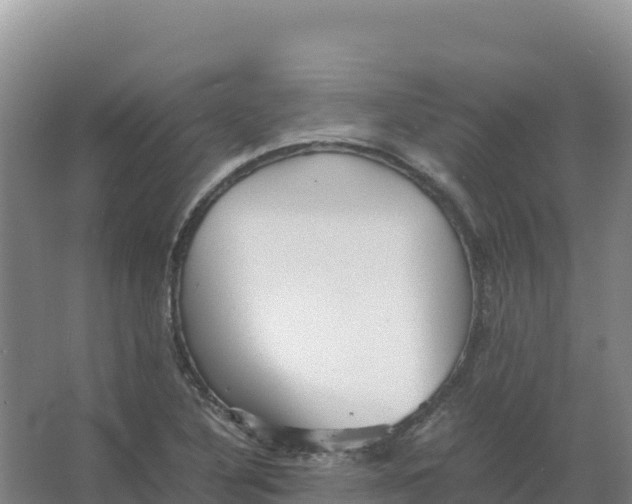 X0000066961316200604142105