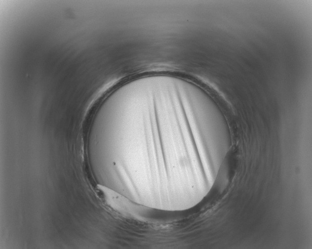 X0000066961317200604142105