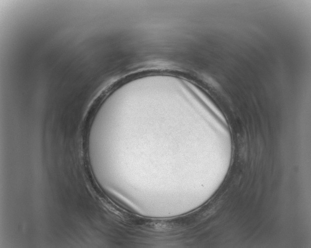 X0000066961318200604142105