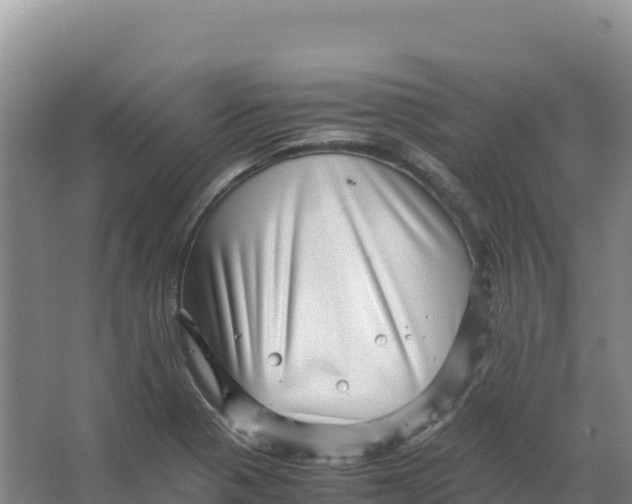 X0000066961321200604142105