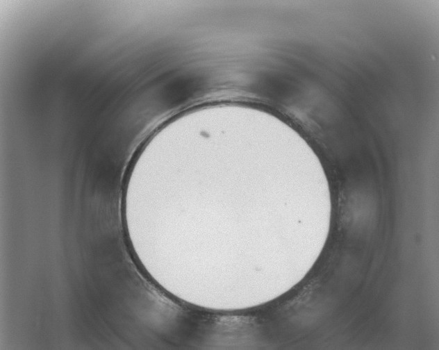 X0000066961322200604142105