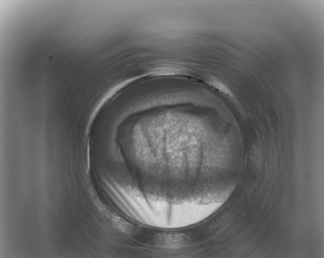 X0000066961323200604142105