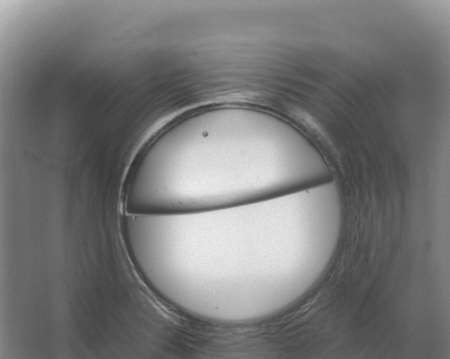 X0000066961324200604142105