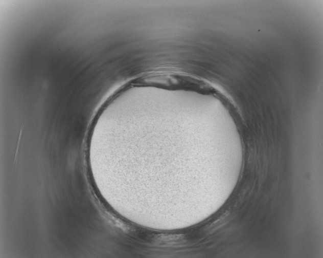 X0000066961325200604142105