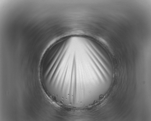 X0000066961326200604142105