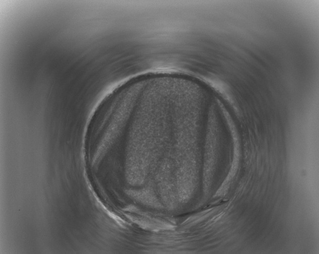 X0000066961327200604142105