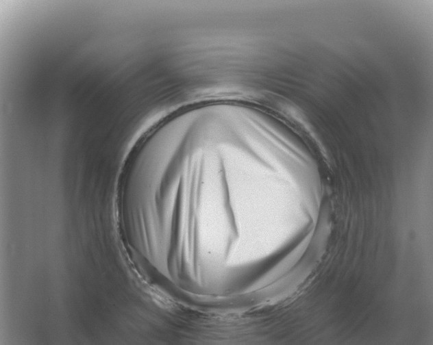 X0000066961328200604142105