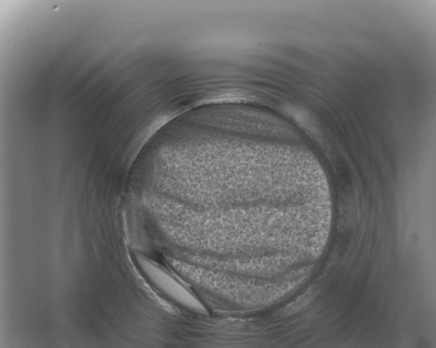 X0000066961329200604142105