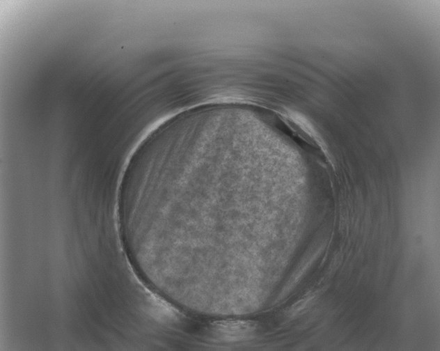 X0000066961331200604142105