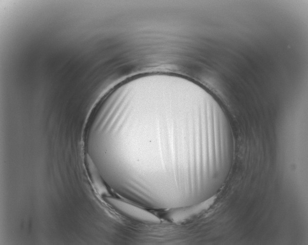 X0000066961332200604142105