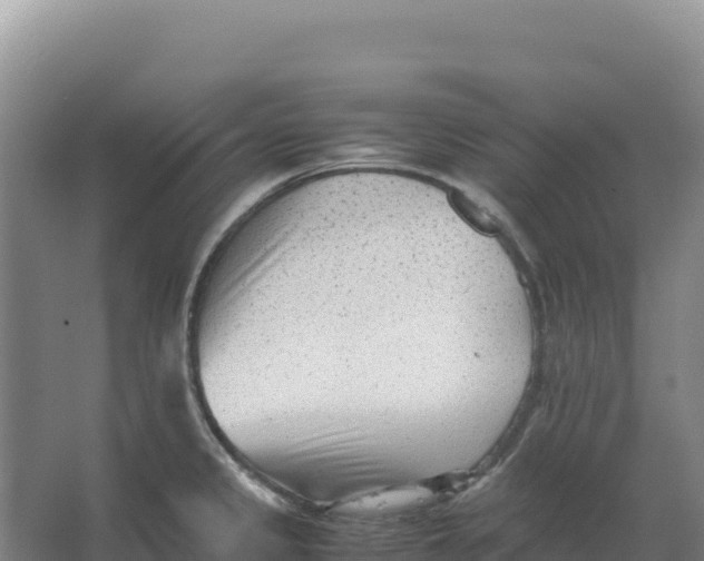 X0000066961333200604142105