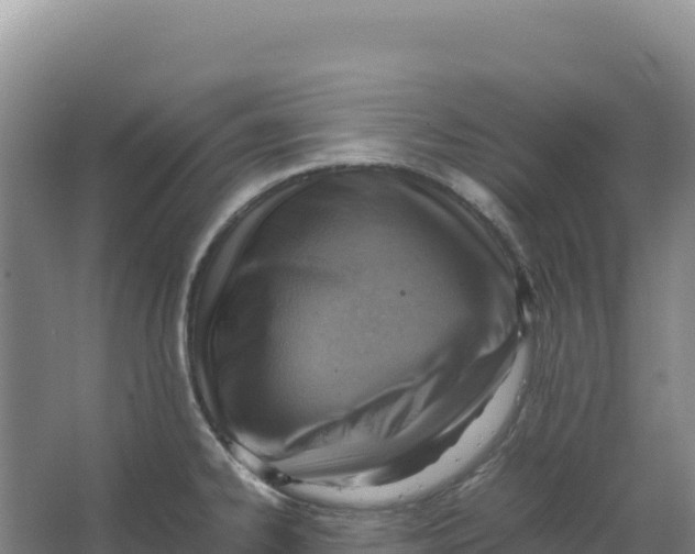 X0000066961334200604142105