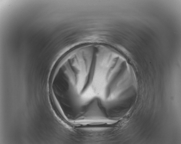 X0000066961335200604142105