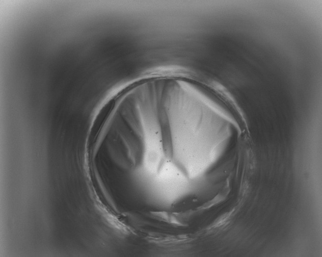 X0000066961336200604142105