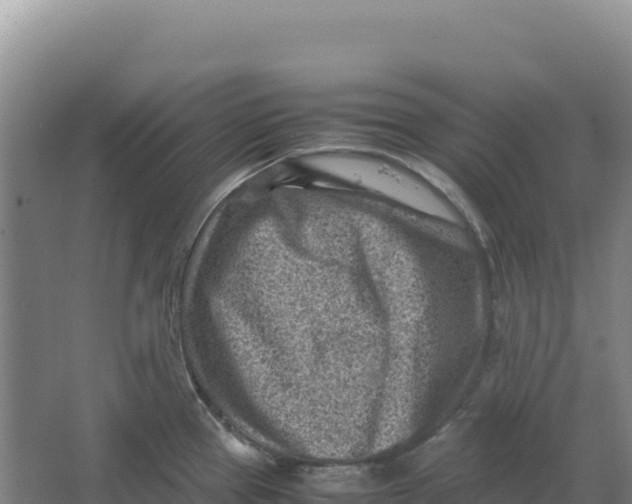 X0000066961337200604142105