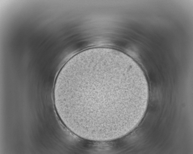 X0000066961338200604142105