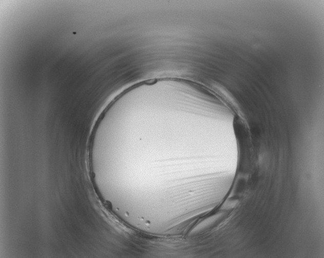 X0000066961340200604142105