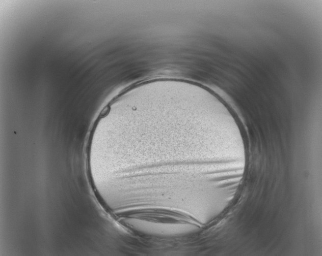 X0000066961341200604142105