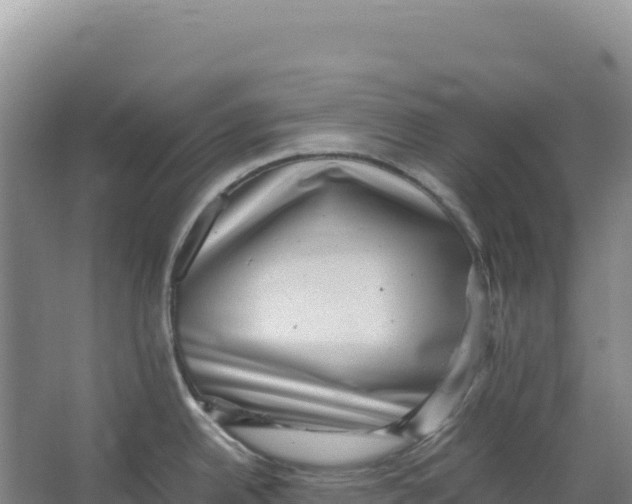 X0000066961342200604142105