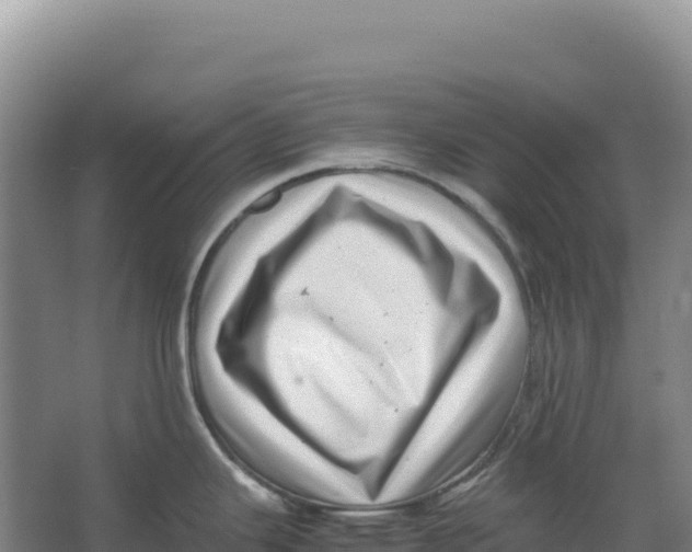 X0000066961343200604142105