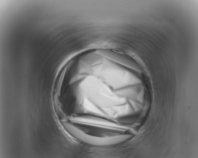 X0000066961344200604142105