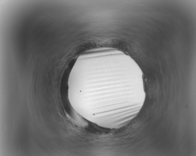 X0000066961345200604142104