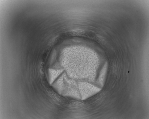 X0000066961346200604142104