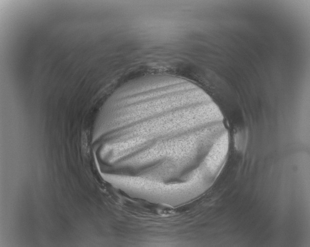 X0000066961347200604142104