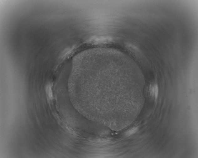 X0000066961348200604142104