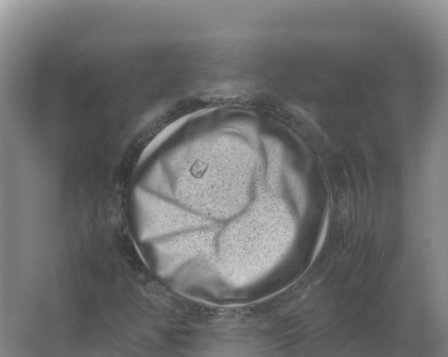 X0000066961350200604142104