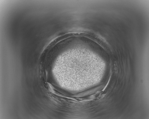 X0000066961352200604142104