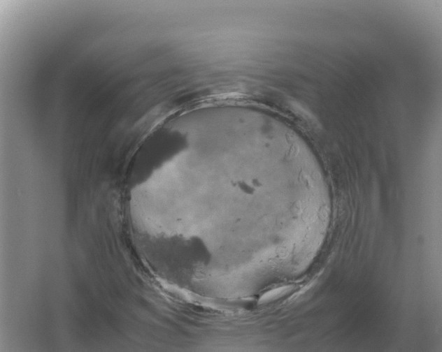 X0000066961353200604142104