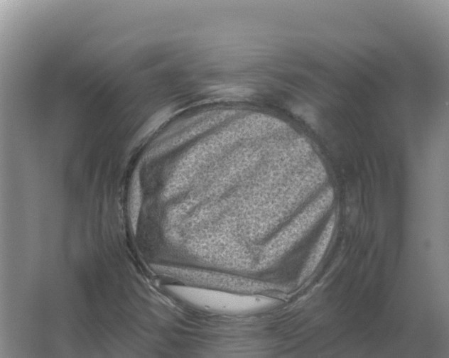 X0000066961354200604142104