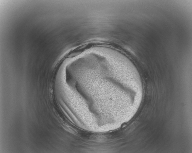 X0000066961355200604142104