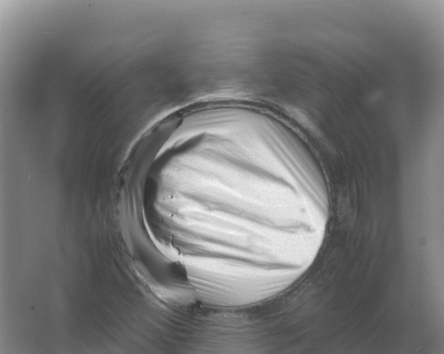 X0000066961356200604142104