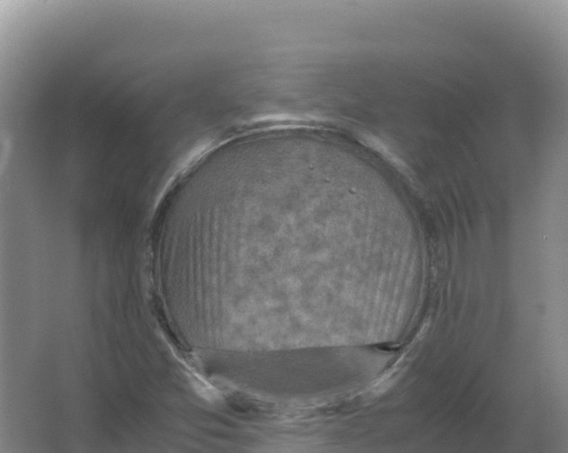 X0000066961357200604142104