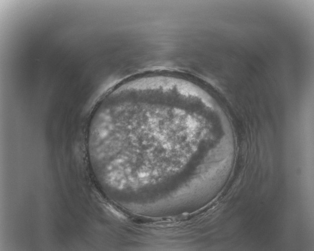 X0000066961359200604142104