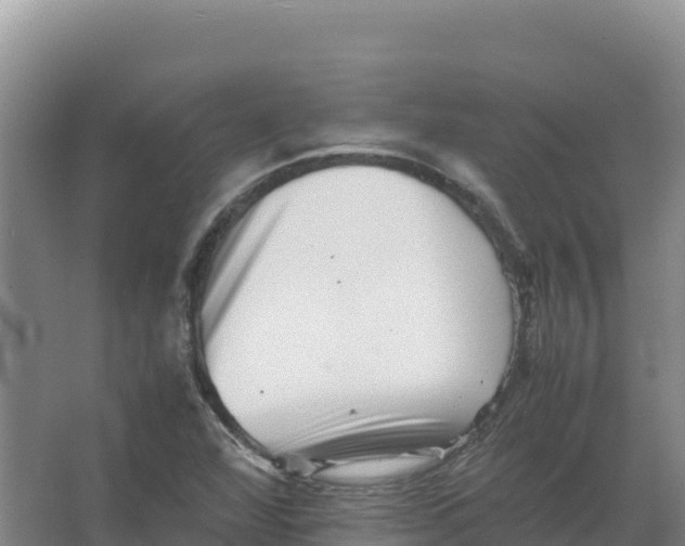 X0000066961360200604142104