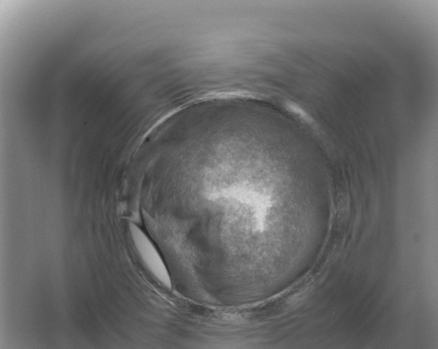 X0000066961361200604142104