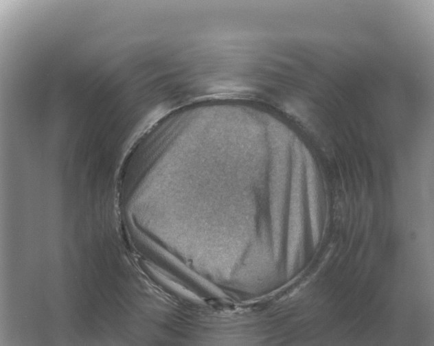 X0000066961362200604142104