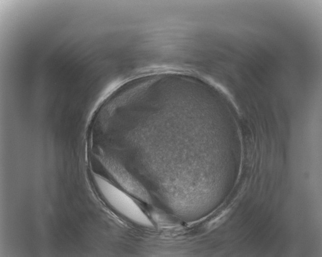 X0000066961365200604142104