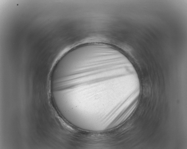 X0000066961366200604142104