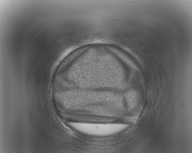 X0000066961367200604142104