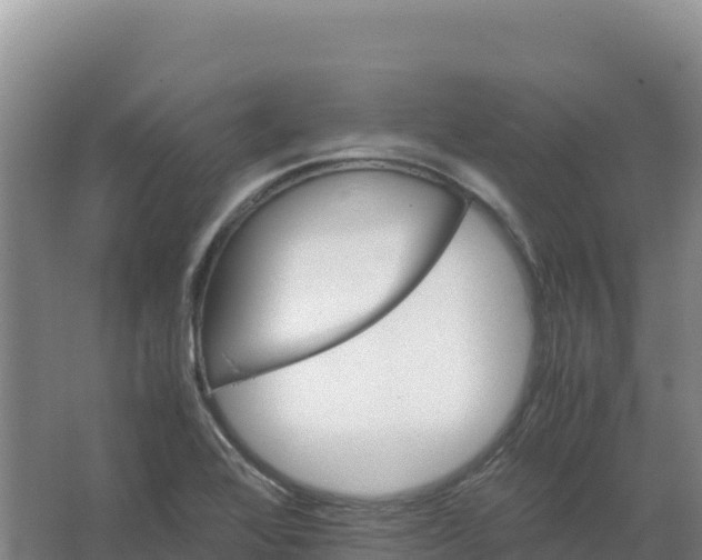 X0000066961368200604142104