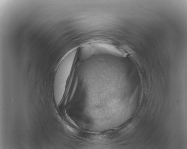 X0000066961369200604142104